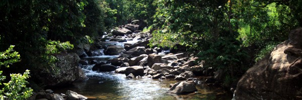 Cachoeiras na Serra do Caparaó - MG