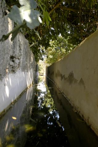 Jardim Quinta das Lágrimas