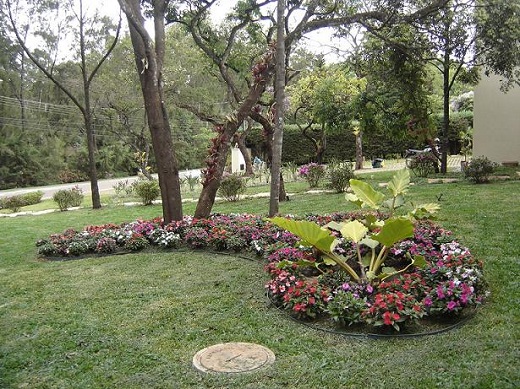 Projeto de paisagismo Projeto de paisagismo