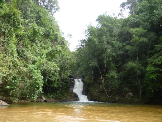 Código Florestal Brasileiro e Bolsa Verde