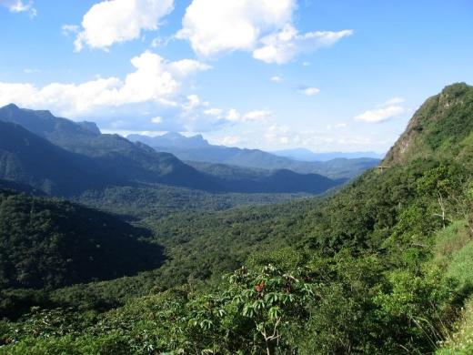 Reserva de Mata Atlântica: Patrimônio Natural Mundial