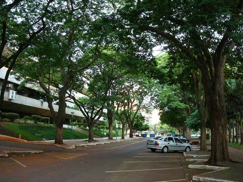 Rua arborizada em Marinagá - PR Rua arborizada em Marinagá - PR