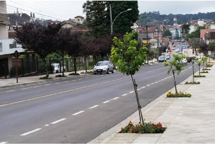 Plantio de forrações anuais nos canteiros das árvores em várias ruas de Gramado/RS