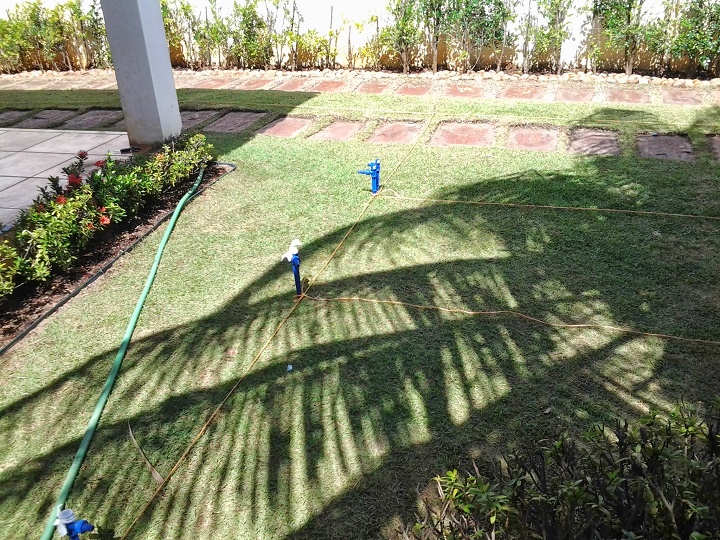 Agrônomo Celso Amorim Marinho, da AgroSul de Fortaleza Agrônomo Celso Amorim Marinho, da AgroSul de Fortaleza