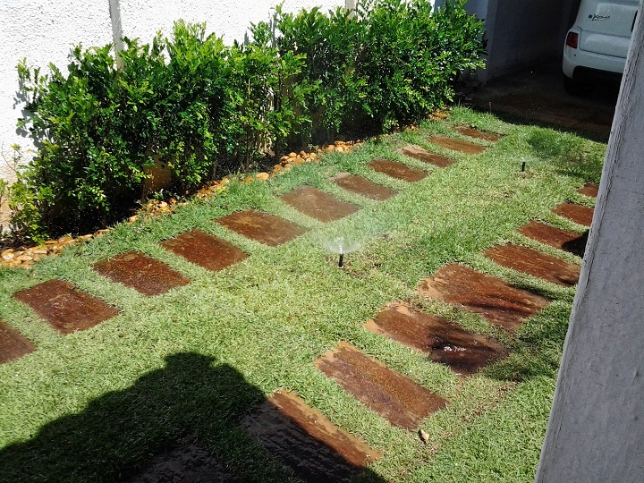 Agrônomo Celso Amorim Marinho, da AgroSul de Fortaleza Agrônomo Celso Amorim Marinho, da AgroSul de Fortaleza