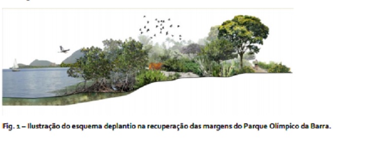 O lado Paisagismo das Olimpíadas