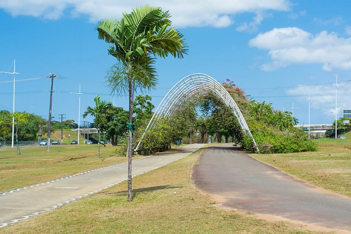 Paisagista José Tabacow