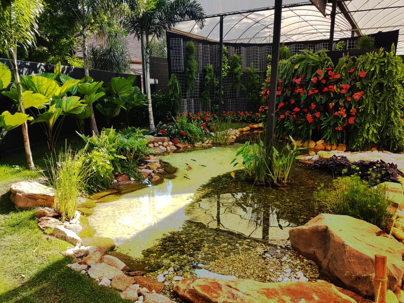 Projeto de Lago Projeto de Lago