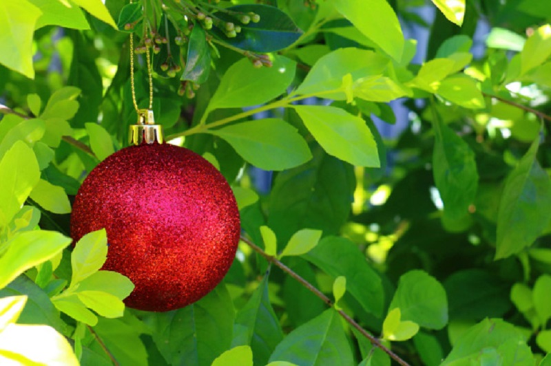 Ideias para decorar o seu jardim de Natal