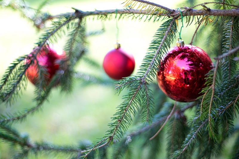 Jardim de Natal