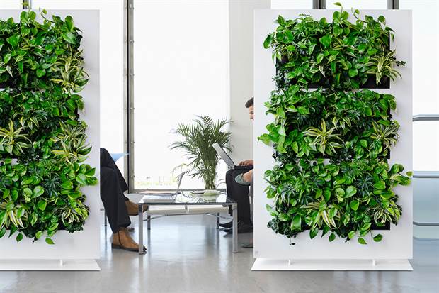 Uma maneira de dar vida e ar mais rico aos ambientes. Foto: Living / Greentec Uma maneira de dar vida e ar mais rico aos ambientes. Foto: Living / Greentec