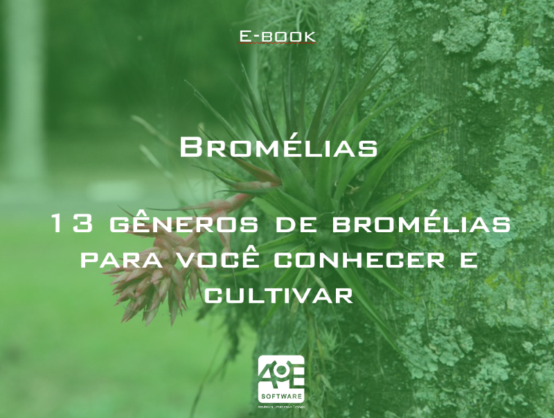 eBook com download grátis "Bromélias: 13 Gêneros para conhecer e cultivar"