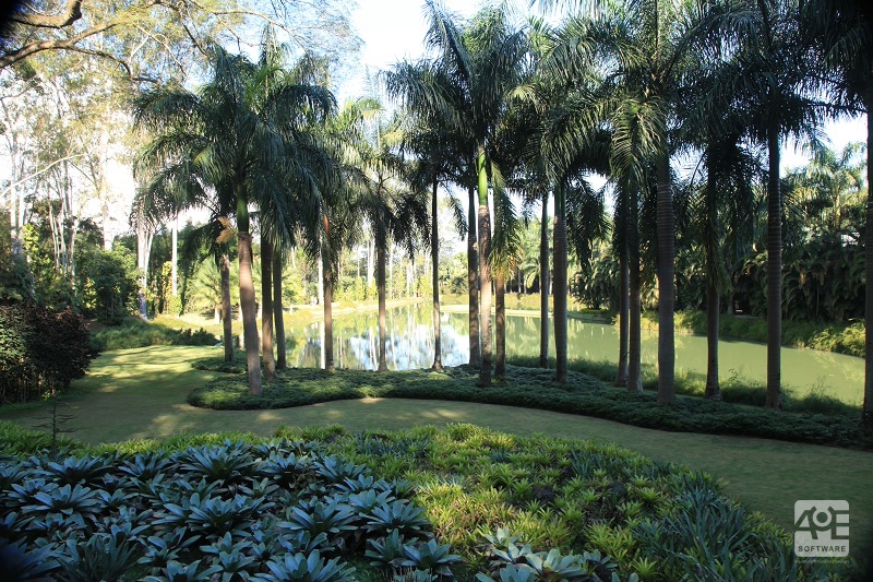Paisagismo com vegetação densa, tipicamente tropical Paisagismo com vegetação densa, tipicamente tropical