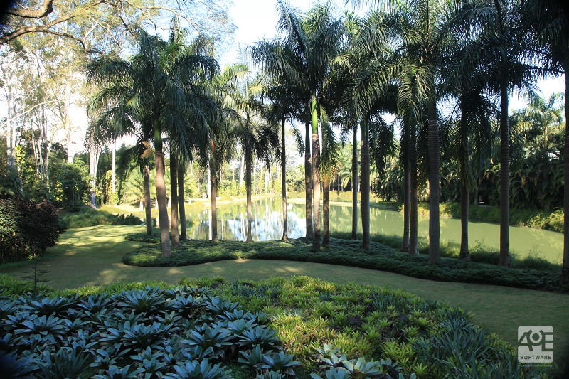 Fatores do Paisagismo que afetam a percepção do ambiente