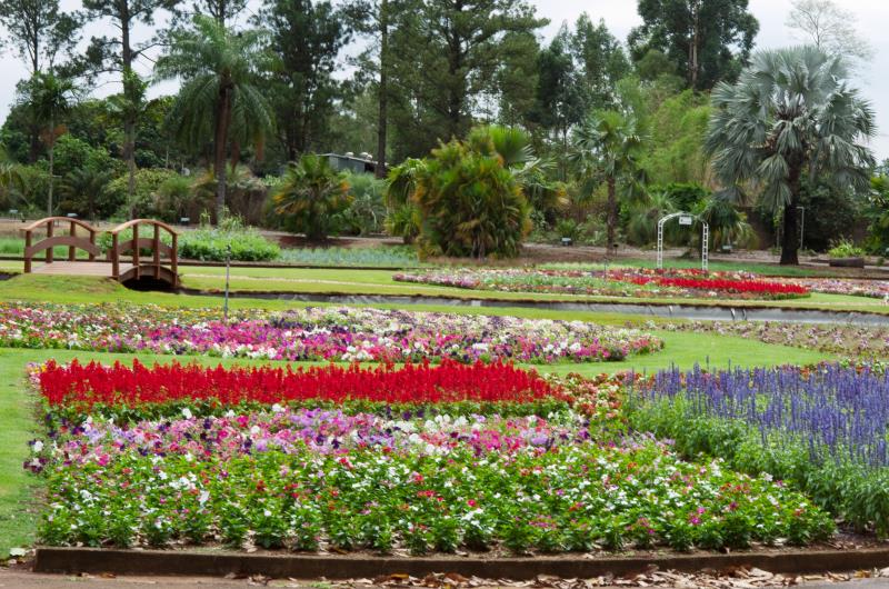 Jardim Botânico Plantarum