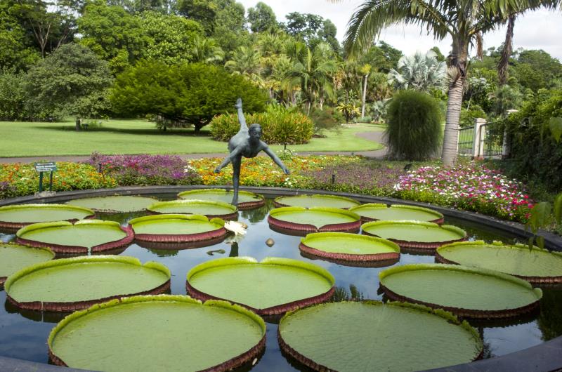 Jardim Botânico Plantarum