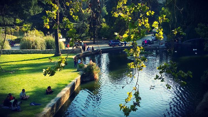 Jardim Botânico Nacional de Viña del Mar