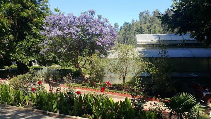 Jardim Botânico Nacional de Viña del Mar