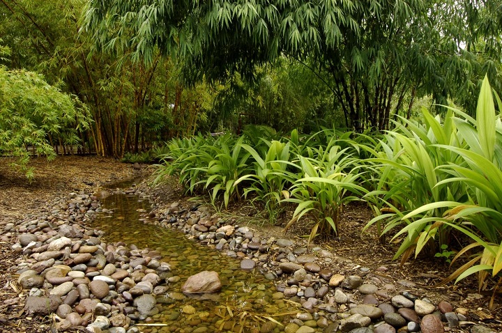 Jardim Botânico de Culiacán Jardim Botânico de Culiacán