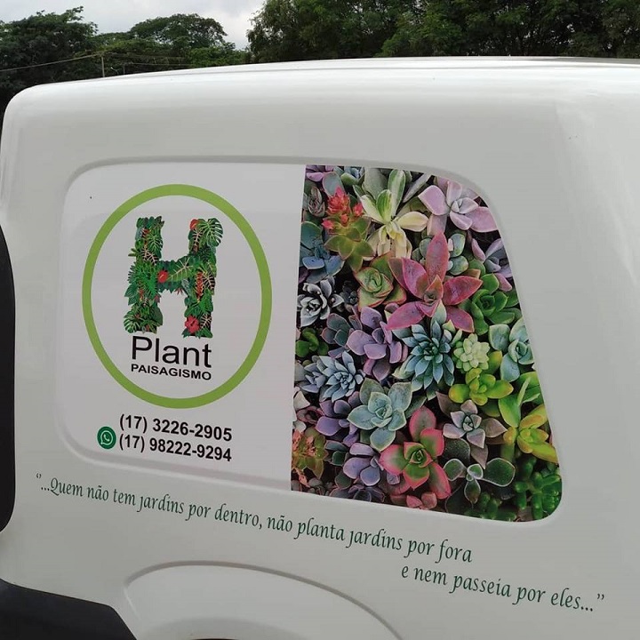 H Plant paisagismo