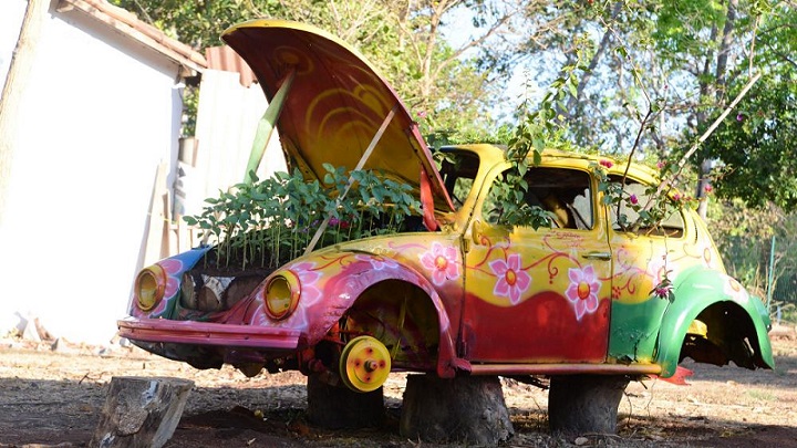 Em Palmas, TO, sucata é transformada em viveiro de flores