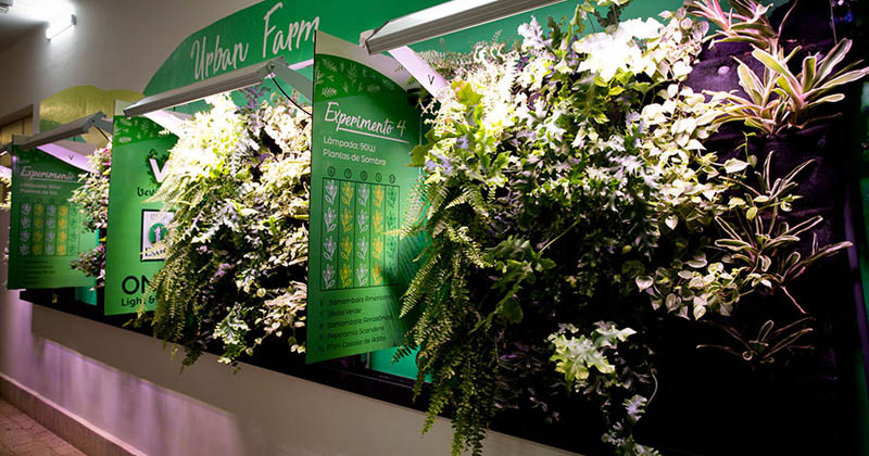 Laboratório da USP estuda o cultivo de jardins verticais em ambientes fechados com uso de LED