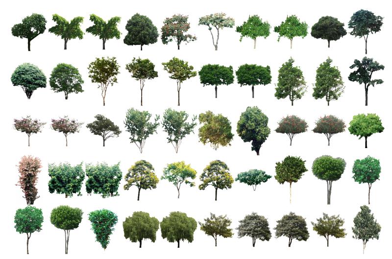 Mapas de árvores simétricos para VisualPLAN e PhotoLANDSCAPE