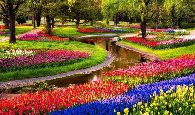 Keukenhof