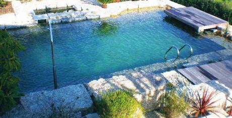 Piscinas Biológicas: água limpa com a ajuda de plantas