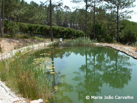 piscina biológica