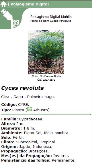 Ficha de dados do item Cyca Revoluta Ficha de dados do item Cyca Revoluta