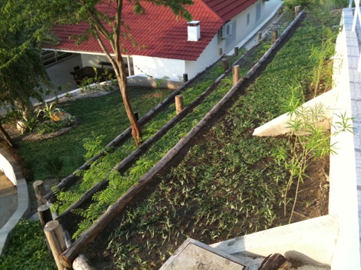Projeto de paisagismo em uma residência na praia de Sangano Projeto de paisagismo em uma residência na praia de Sangano