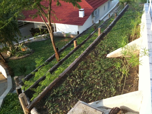 Projeto de paisagismo em uma residência na praia de Sangano