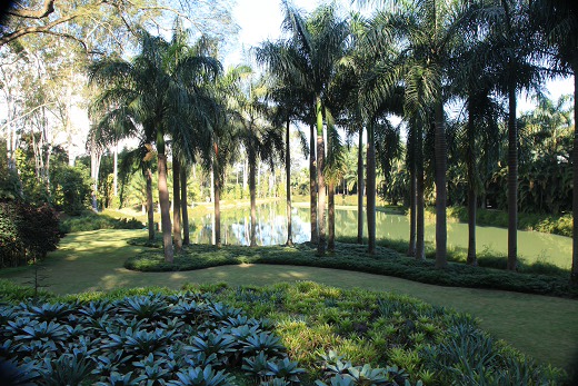 Jardim Botânico de Inhotim Jardim Botânico de Inhotim
