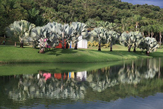 Jardim Botânico de Inhotim Jardim Botânico de Inhotim
