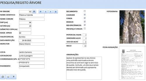 Formulário criado para pesquisa e registo de árvores