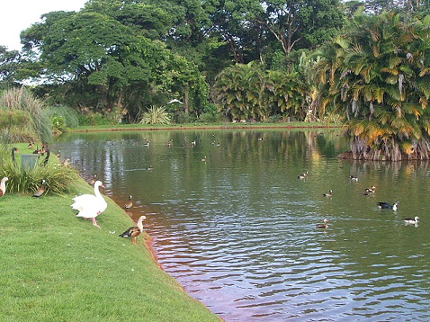 Lago artificial em Brasília Lago artificial em Brasília
