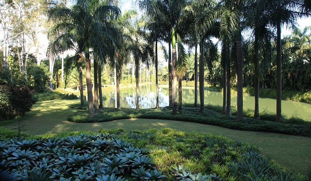 plantas jardim tropical:Jardim Tropical – Foto Guilherme Motta plantas jardim tropical:Jardim Tropical – Foto Guilherme Motta